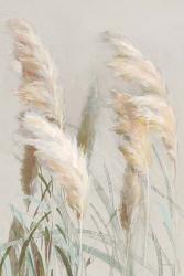 Neutral Pampas Grasses III | Obraz na stenu