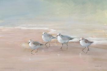 Shorebirds on the Sand I | Obraz na stenu