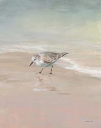 Shorebirds on the Sand III | Obraz na stenu