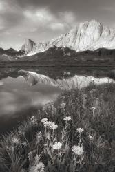 Pronghorn and Dragon Head Peaks BW | Obraz na stenu