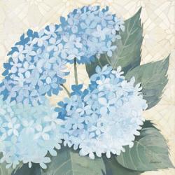 Decorative Hydrangea II Providence | Obraz na stenu