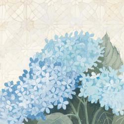 Decorative Hydrangea III Providence | Obraz na stenu