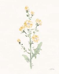 Flowers of the Wild III Pastel | Obraz na stenu