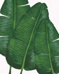 Emerald Banana Leaves II | Obraz na stenu