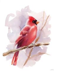 Winter Cardinal | Obraz na stenu