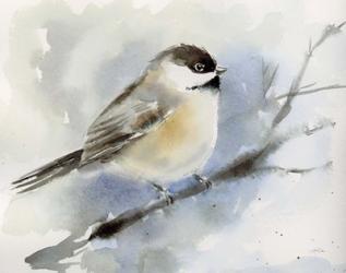 Winter Chickadee | Obraz na stenu