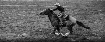 Rodeo II BW | Obraz na stenu