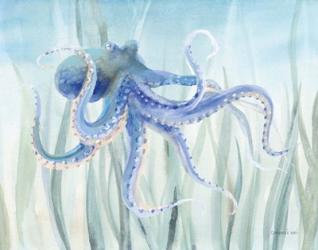 Undersea Octopus Seaweed | Obraz na stenu