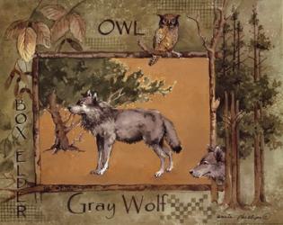 Gray Wolf | Obraz na stenu