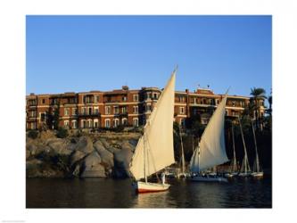 Sailboats in a river, Old Cataract Hotel, Aswan, Egypt | Obraz na stenu