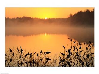 Sunrise over a lake | Obraz na stenu