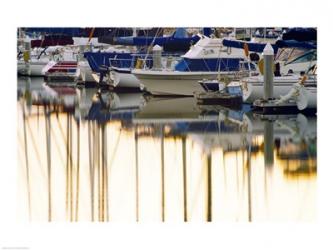 USA, California, Santa Barbara, boats in marina at sunrise | Obraz na stenu