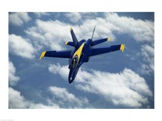 U.S. Navy Blue Angels F-18 Hornet | Obraz na stenu