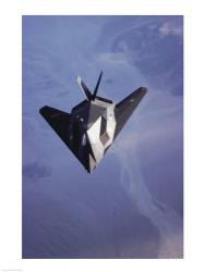 F-117 Stealth Fighter U.S. Air Force | Obraz na stenu