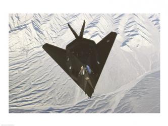 Lockheed F-117 Stealth Fighter | Obraz na stenu