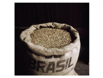 Coffee Beans in a Burlap Sack | Obraz na stenu