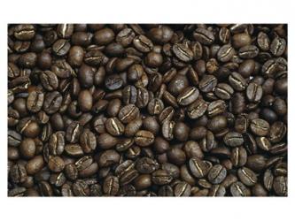 Close-up of coffee beans | Obraz na stenu