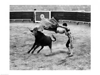 Matador fighting with a bull | Obraz na stenu