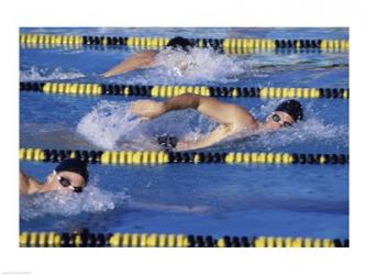 Three swimmers racing in a swimming pool | Obraz na stenu