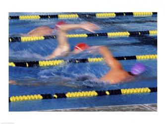Rear view of three swimmers racing in a swimming pool | Obraz na stenu