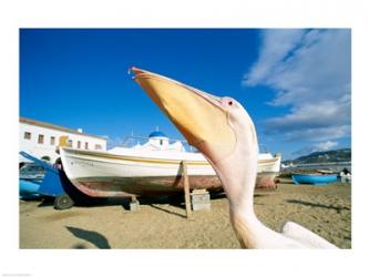Pelican and Fishing Boats on Beach, Mykonos, Cyclades Islands, Greece | Obraz na stenu