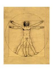 Proportions of the Human Figure - Vitruvian Man | Obraz na stenu