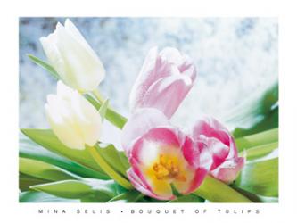 Bouquet of Tulips | Obraz na stenu